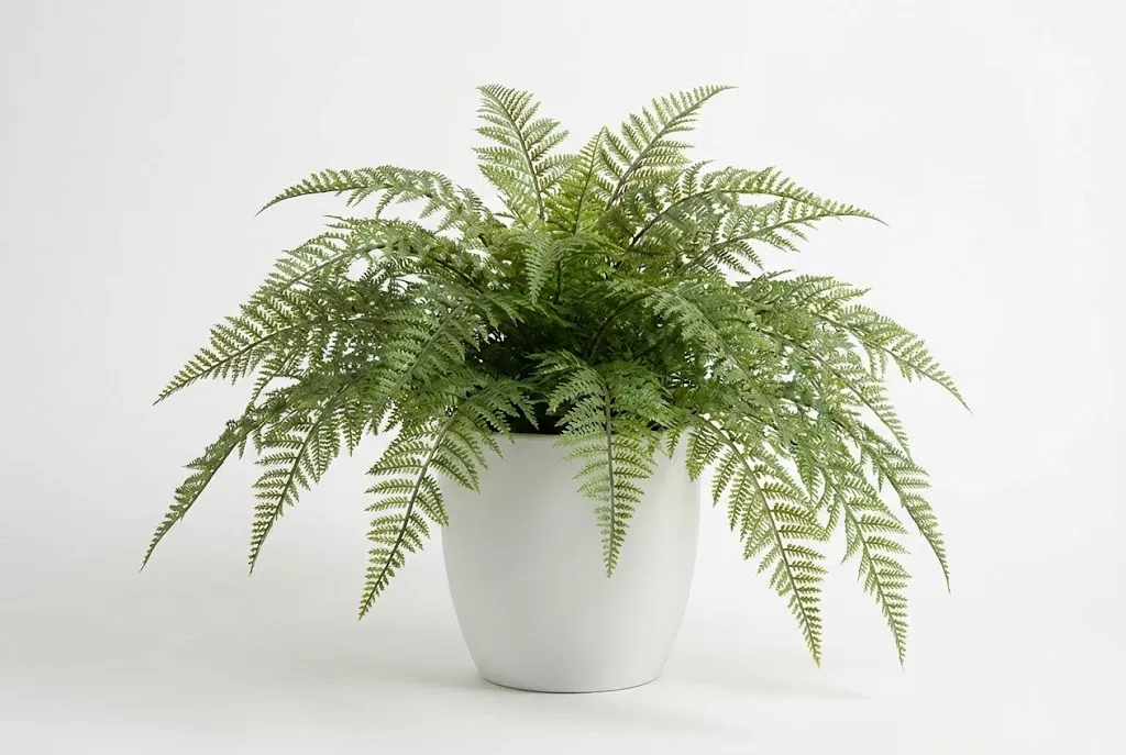 Artificial Boston Ferns