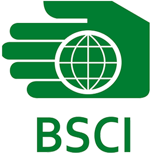 BSCI Compliant Artificial Plant Factory