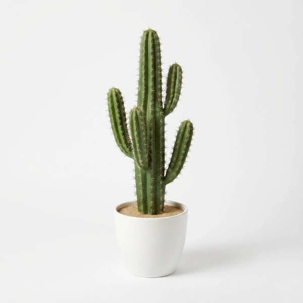 Fake Cactus Plant