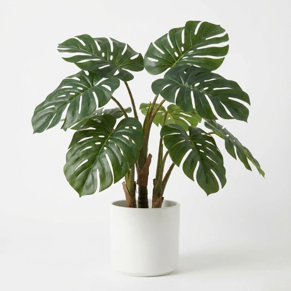 Fake Monstera Plant