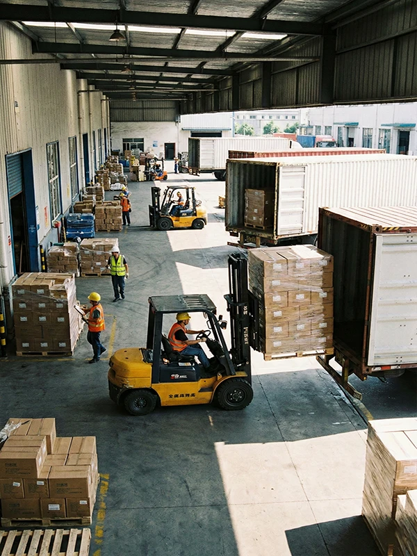 Fast Shipping for Wholesale Plants