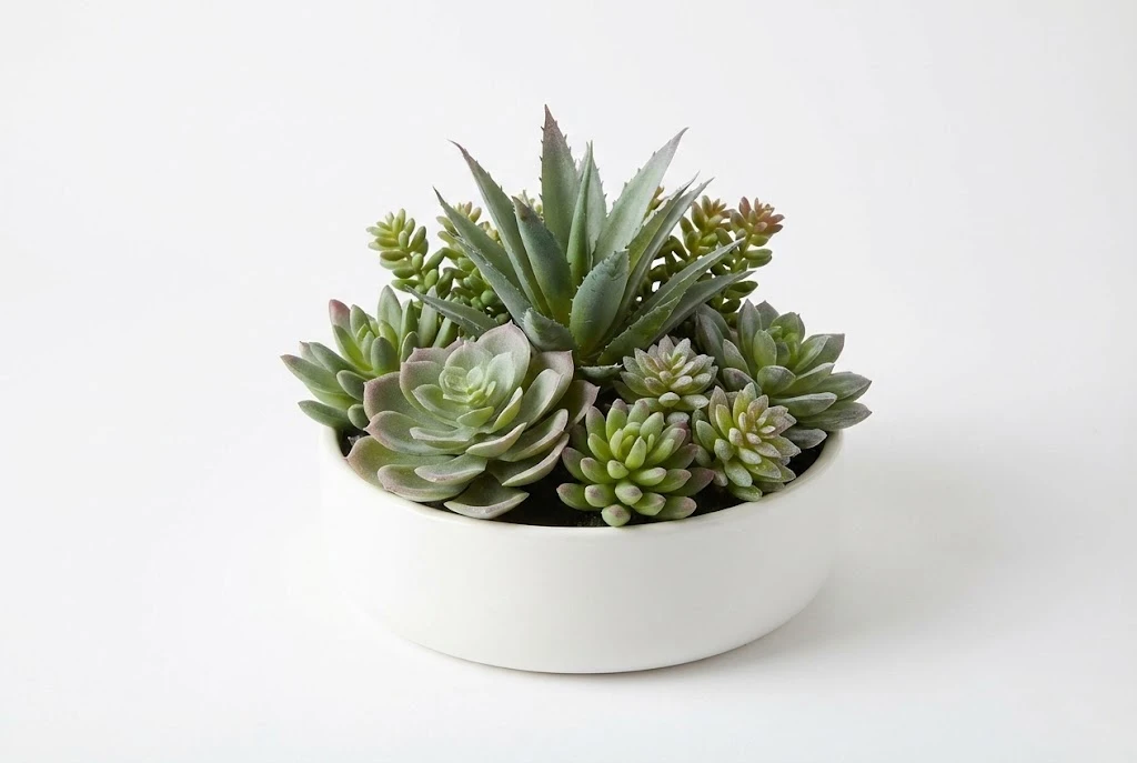 Artificial Succulent Plants