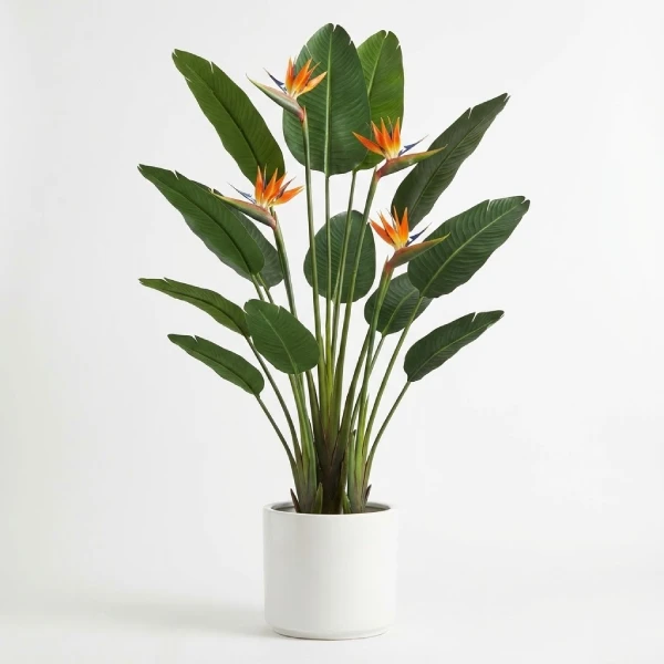 Faux Bird of Paradise Plant
