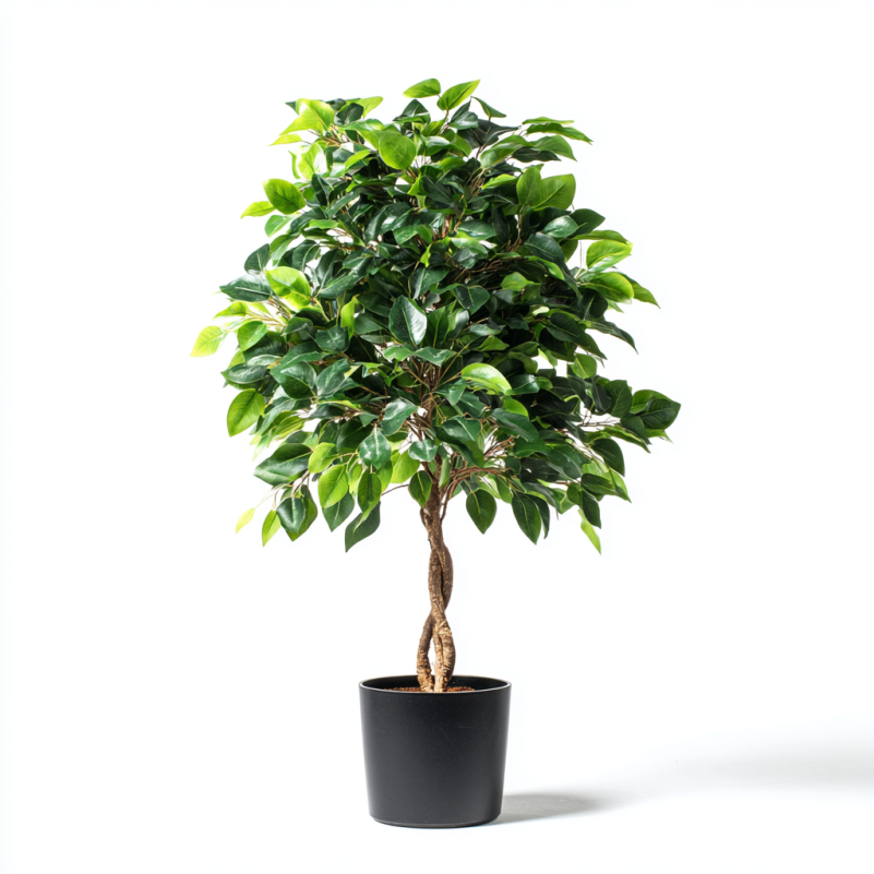 Faux Ficus Tree