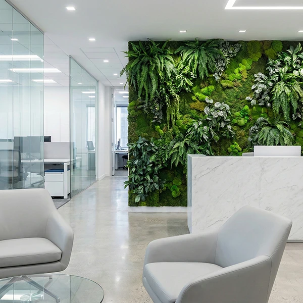 Office Greenery and Plants